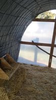 Inside hoop coop.jpg