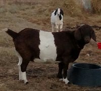 IMG_20180117_174303.jpg