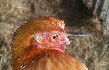 20171009_085011.jpg
