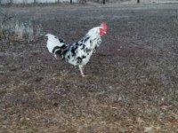 20180117_173551_1516236575266.jpg