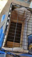 Baby.Cage1.jpg