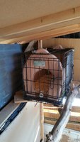 Baby.Cage.jpg