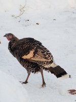 20180119_164120.jpg