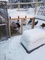 20180117_073722.jpg