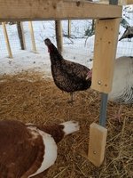 20180119_163502.jpg
