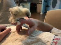 37A8CF0F-274B-4944-A7D0-AE0CD3EC20D2.jpeg