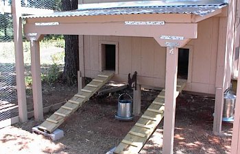 coopchickdoors.jpg