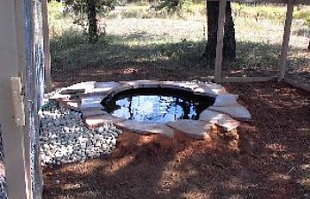 pondside1.jpg