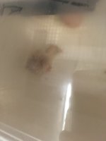 8B46C6F0-6BCE-494B-9071-C9E770A088CE.jpeg