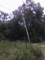 IMG_20170911_131742.jpg