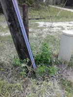 IMG_20170911_132022.jpg
