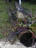IMG_20170911_132047.jpg