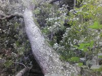 IMG_20170911_133501.jpg