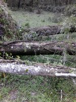 IMG_20170911_140853.jpg