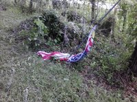 IMG_20170911_141002.jpg