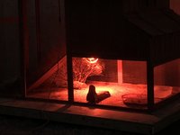 B29479E2-C1AA-43A0-A832-8E6C68B3B9DF.jpeg