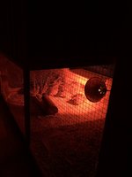 80802071-B1AA-4944-980F-6B1B0B3DF797.jpeg