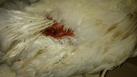 20180121_153336.jpg 20180121_153336.jpg
