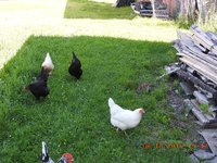 DSCN0174.jpg