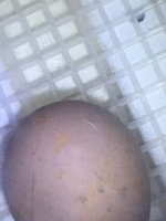 73F69596-686B-4B2C-A8EC-79B0C1FA0235.jpeg
