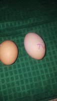 20180123_061435.jpg