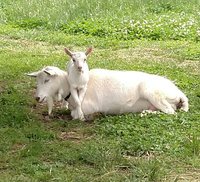 IMG_20160502_103221.jpg
