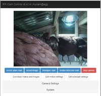 nest-cam-01.jpg
