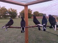 IMG-20180123-WA0005.jpg