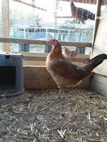 20180124_171056.jpg