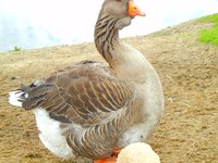 DSCN0708 (1).jpg