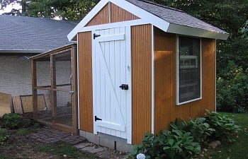 Citychook A Coop Story