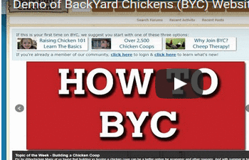 BYC Frequently Asked Questions (FAQ)