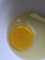 E023FE6E-4E84-4A1E-B264-22E9BAA9091F.jpeg