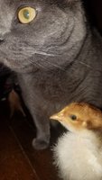 20170520_151116.jpg