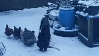 20171209_083109.jpg