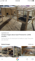 34E65B04-F413-417F-B777-3E3DD9A8A166.png