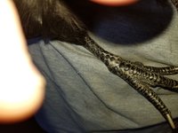 20180126_102308.jpg