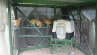 DSC04025.JPG