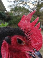 IMG_20180126_175005.jpg