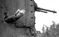 Passchendaele WWl.jpg Passchendaele WWl.jpg
