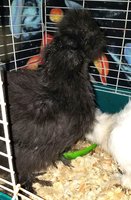 20180124_145500.jpg