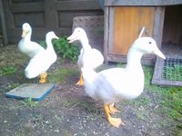 IMG_20170702_105404.jpg