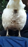 _20180127_171733.JPG _20180127_171733.JPG