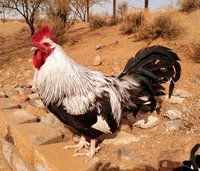 Wesley left - Jan 2018 - 2.jpg