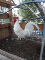 20180129_074114.jpg