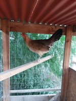 20180129_070517.jpg