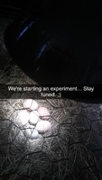 Snapchat-2140762060.jpg