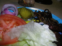 DSCN5726.JPG