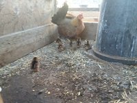 20180130_171344.jpg
