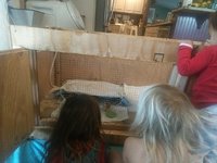 IMG_20180131_101026.jpg